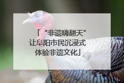 “非遗嗨翻天”让阜阳市民沉浸式体验非遗文化