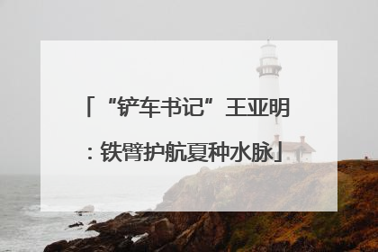“铲车书记”王亚明：铁臂护航夏种水脉