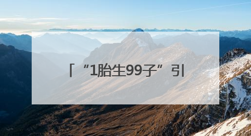“1胎生99子”引热议，男主回应：经纪人说一定会大爆