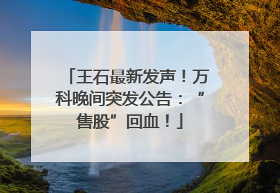 王石最新发声！万科晚间突发公告：“售股”回血！