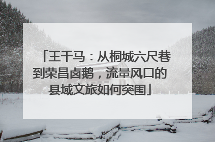 王千马：从桐城六尺巷到荣昌卤鹅，流量风口的县域文旅如何突围