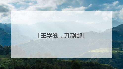 王学勤，升副部