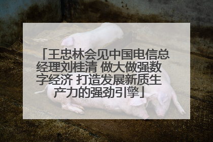 王忠林会见中国电信总经理刘桂清 做大做强数字经济 打造发展新质生产力的强劲引擎