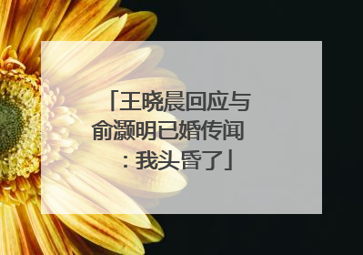 王晓晨回应与俞灏明已婚传闻：我头昏了