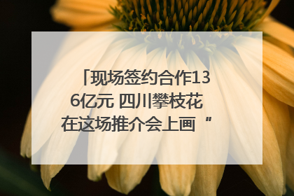 现场签约合作136亿元 四川攀枝花在这场推介会上画“图谱”列“清单”