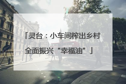 灵台：小车间榨出乡村全面振兴“幸福油”