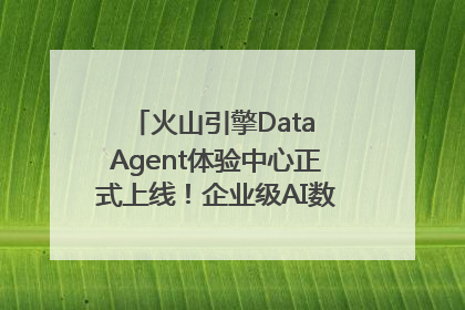 火山引擎Data Agent体验中心正式上线！企业级AI数据专家触手可及