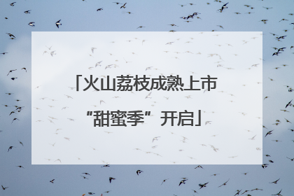 火山荔枝成熟上市 “甜蜜季”开启