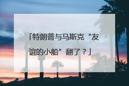 特朗普与马斯克“友谊的小船”翻了？