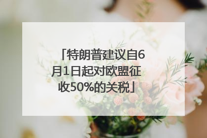 特朗普建议自6月1日起对欧盟征收50%的关税
