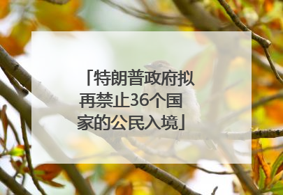 特朗普政府拟再禁止36个国家的公民入境