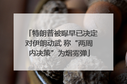 特朗普被曝早已决定对伊朗动武 称“两周内决策”为烟雾弹