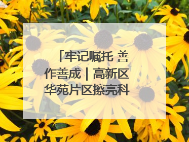 牢记嘱托 善作善成｜高新区华苑片区擦亮科创“金名片”