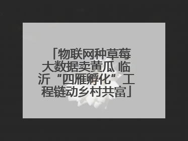 物联网种草莓 大数据卖黄瓜 临沂“四雁孵化”工程链动乡村共富