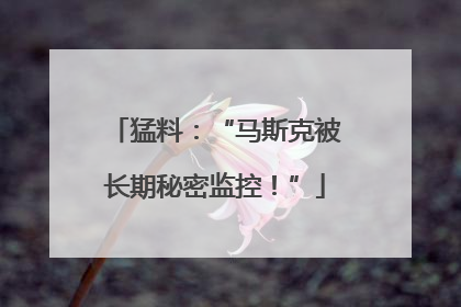 猛料：“马斯克被长期秘密监控！”