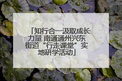 知行合一汲取成长力量 南通通州兴东街道“行走课堂”实地研学活动