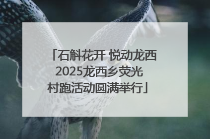 石斛花开 悦动龙西 2025龙西乡荧光村跑活动圆满举行