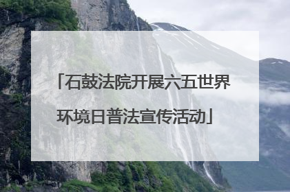 石鼓法院开展六五世界环境日普法宣传活动
