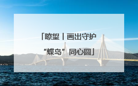 瞭望丨画出守护“蝶岛”同心圆