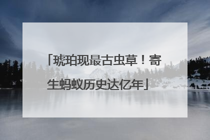 琥珀现最古虫草！寄生蚂蚁历史达亿年