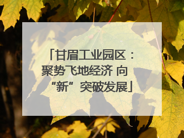 甘眉工业园区：聚势飞地经济 向“新”突破发展