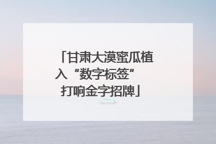 甘肃大漠蜜瓜植入“数字标签” 打响金字招牌