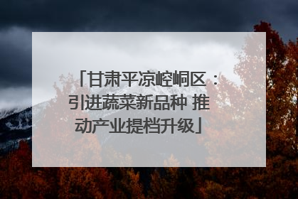 甘肃平凉崆峒区：引进蔬菜新品种 推动产业提档升级