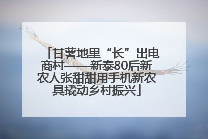 甘薯地里“长”出电商村——新泰80后新农人张甜甜用手机新农具撬动乡村振兴