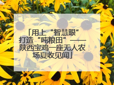 用上“智慧眼” 打造“吨粮田”——陕西宝鸡一座无人农场夏收见闻