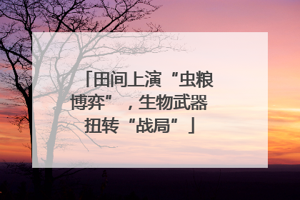 田间上演“虫粮博弈”，生物武器扭转“战局”