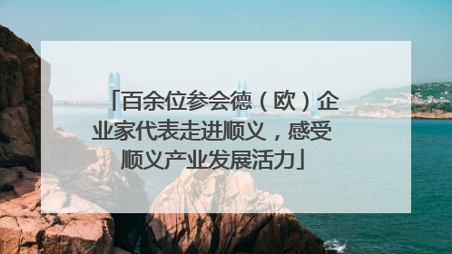 百余位参会德（欧）企业家代表走进顺义，感受顺义产业发展活力