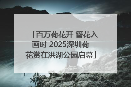 百万荷花开 簪花入画时 2025深圳荷花赏在洪湖公园启幕