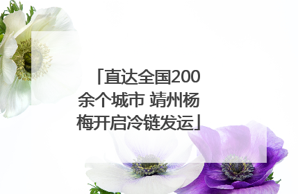 直达全国200余个城市 靖州杨梅开启冷链发运