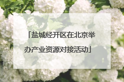 盐城经开区在北京举办产业资源对接活动