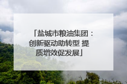 盐城市粮油集团：创新驱动助转型 提质增效促发展