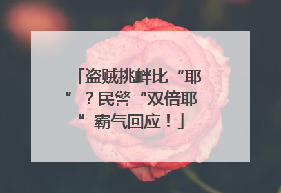 盗贼挑衅比“耶”？民警“双倍耶”霸气回应！