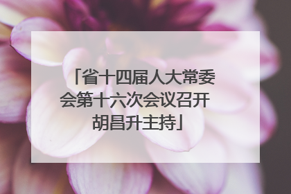 省十四届人大常委会第十六次会议召开 胡昌升主持