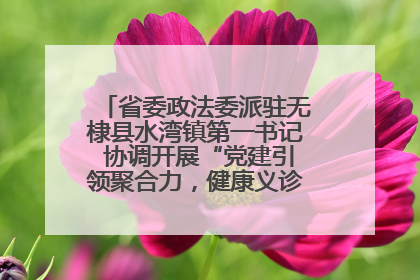 省委政法委派驻无棣县水湾镇第一书记 协调开展“党建引领聚合力，健康义诊惠乡亲”义诊活动