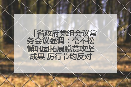 省政府党组会议常务会议强调：毫不松懈巩固拓展脱贫攻坚成果 厉行节约反对浪费弘扬优良作风