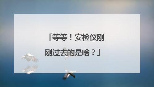 等等！安检仪刚刚过去的是啥？