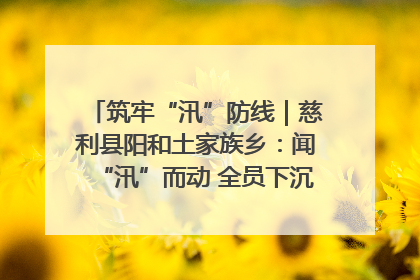 筑牢“汛”防线｜慈利县阳和土家族乡：闻“汛”而动 全员下沉筑牢防汛“安全堤”