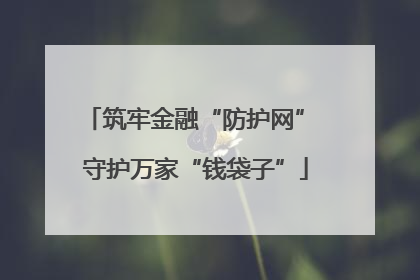 筑牢金融“防护网” 守护万家“钱袋子”