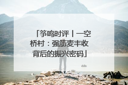 筝鸣时评丨一空桥村：强筋麦丰收背后的振兴密码