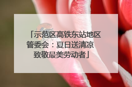 示范区高铁东站地区管委会：夏日送清凉 致敬最美劳动者