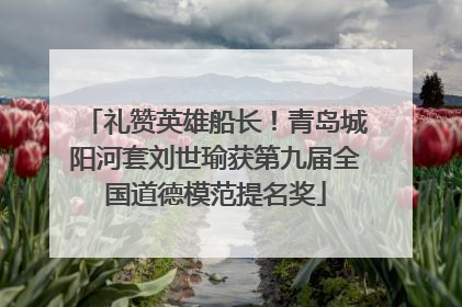 礼赞英雄船长！青岛城阳河套刘世瑜获第九届全国道德模范提名奖