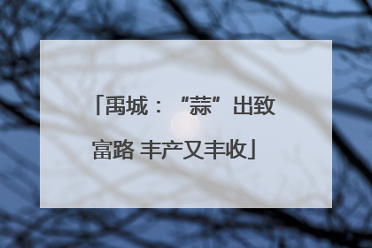 禹城：“蒜”出致富路 丰产又丰收