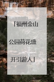 福州金山公园荷花盛开引游人