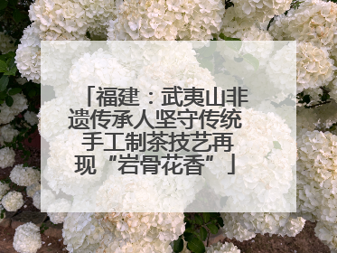 福建：武夷山非遗传承人坚守传统 手工制茶技艺再现“岩骨花香”