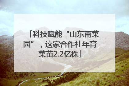 科技赋能“山东南菜园”，这家合作社年育菜苗2.2亿株