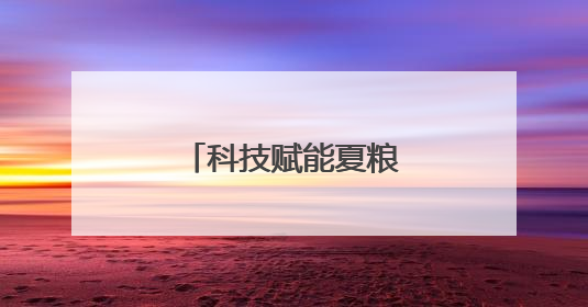 科技赋能夏粮收购提质增效